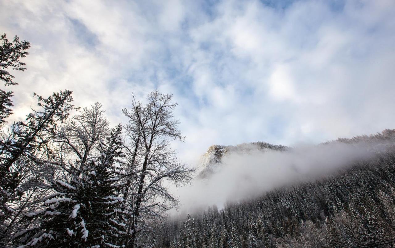 Camping Boulder Mountain Revelstoke